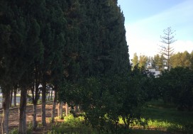 A VENDRE TERRAIN 3500 M2 TUN OUEST