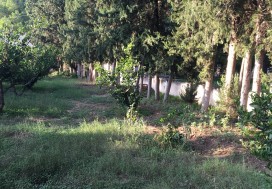A VENDRE TERRAIN 3500 M2 TUN OUEST