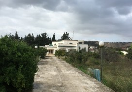 A VENDRE TER  8681 M2 AVEC VILLA  ARIANA