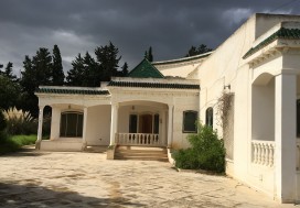 A VENDRE TER  8681 M2 AVEC VILLA  ARIANA