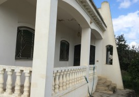 A VENDRE TER  8681 M2 AVEC VILLA  ARIANA