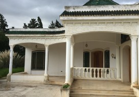 A VENDRE TER  8681 M2 AVEC VILLA  ARIANA