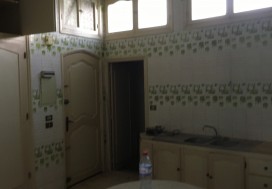 A VENDRE TER  8681 M2 AVEC VILLA  ARIANA
