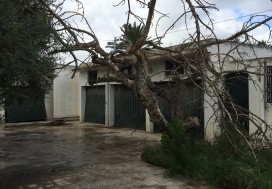A VENDRE TER  8681 M2 AVEC VILLA  ARIANA