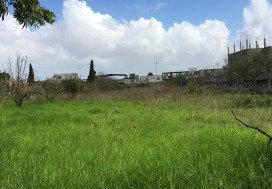 A VENDRE TER  8681 M2 AVEC VILLA  ARIANA