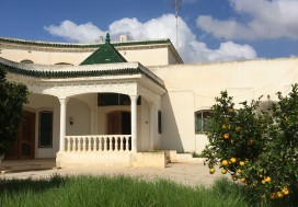 A VENDRE TER  8681 M2 AVEC VILLA  ARIANA