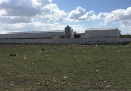 A VENDRE TER INDUSTR 11150 M2 TUN OUEST
