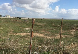 A VENDRE TER INDUSTR 11150 M2 TUN OUEST
