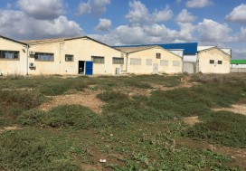 A VENDRE TER INDUSTR 11150 M2 TUN OUEST