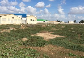 A VENDRE TER INDUSTR 11150 M2 TUN OUEST