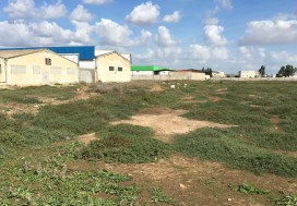 A VENDRE TER INDUSTR 11150 M2 TUN OUEST