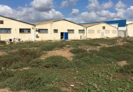 A VENDRE TER INDUSTR 11150 M2 TUN OUEST