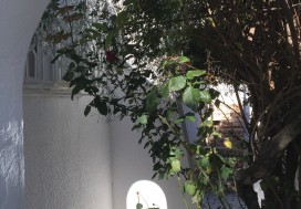 A VENDRE VILLA 310 M2 NOUVELLE MEDINA