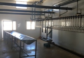 AL ABATTOIR POULETS 1600/7000M2 MONASTIR