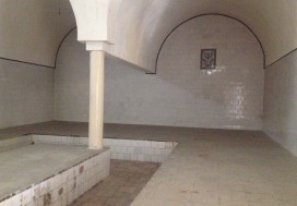 A VENDRE VILLA ET HAMMAM 550 M2