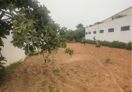 AV LOCAL 2247/4614  M2 GOUVERN  MONASTIR