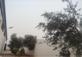 AV LOCAL 2247/4614  M2 GOUVERN  MONASTIR