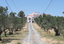 AA VENDRE VILLA DE MAITRE TUNIS OUEST