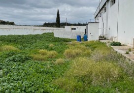 A V LOCAL 1250/4400 M2 TUN OUEST