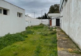 A V LOCAL 1250/4400 M2 TUN OUEST