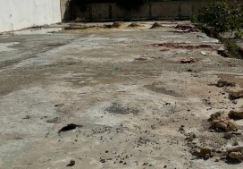 A VENDRE TER INDUSTR 3925 M2 TUNIS NORD