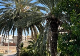 A VENDRE LOCAL 3500/5900 M2 SOUSSE
