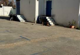 A LOUER LOCAL 6000 M2 R+1 TU SUD