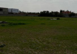 A LOUER DEP N COUVERT 9300 M2 TU SUD