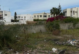 A V TER COMMERCIAL 1000 M2 RTE MARSA