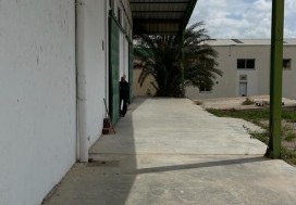 A LOUER LOCAL 880 M2 TUNIS OUEST