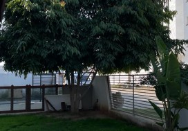 A LOUER LOCAL 3650 M2 TUNIS NORD