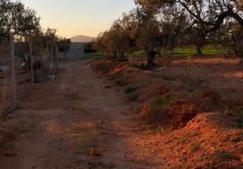 A V TEER PROJ TOURIST 2,79 HA HAMMAMET