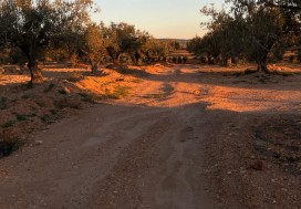 A V TEER PROJ TOURIST 2,79 HA HAMMAMET