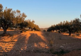 A V TEER PROJ TOURIST 2,79 HA HAMMAMET