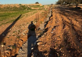 A V TEER PROJ TOURIST 2,79 HA HAMMAMET