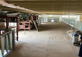 A VENDRE TER INDUSTR  11000 M2 RADES