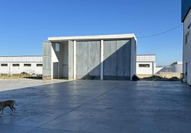 A L LOCAL 12617 M2 DIVISIBLE TUNIS OUEST