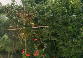 A LOUER LOCAL INDUSTR 3500 M2 B AROUS