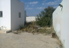 A LOUER LOCAL INDUSTRIEL 1000 M2  BIRINE