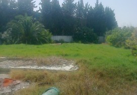 A VENDRE  LOCAL B AROUS 800/4551 M2
